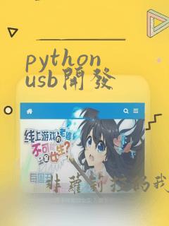 python usb开发