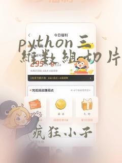 python三维数组切片