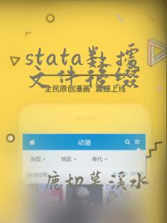 stata数据文件后缀