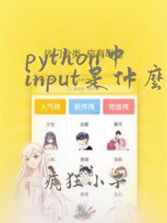 python中input是什么意思