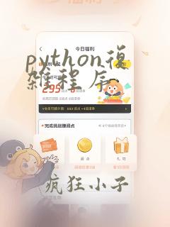 python复杂程序