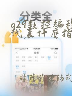 g29数控编程代表什么指令