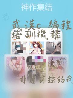 武汉c 编程培训机构