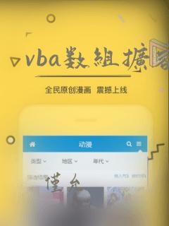 vba数组扩容