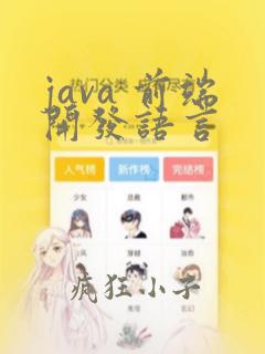 java 前端开发语言