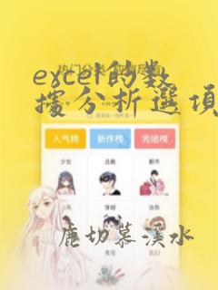 excel的数据分析选项在哪