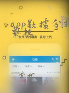 app数据分析系统