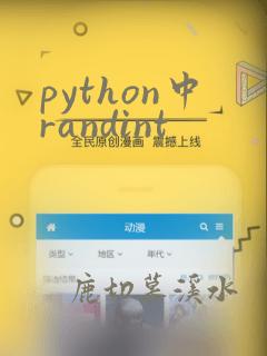 python中randint