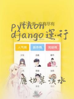 python django运行