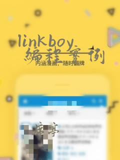 linkboy 编程实例