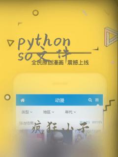 python so文件