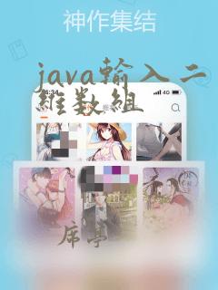 java输入二维数组