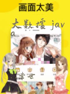 大数据 java