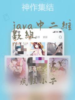 java中二维数组