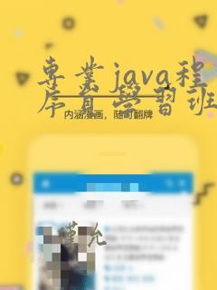 专业java程序员学习班