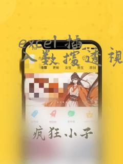 excel 插入数据透视表