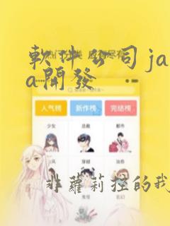 软件公司java开发