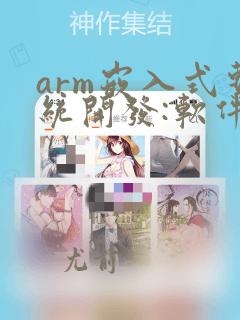 arm嵌入式系统开发:软件设计与优化