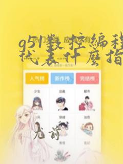 g51数控编程代表什么指令