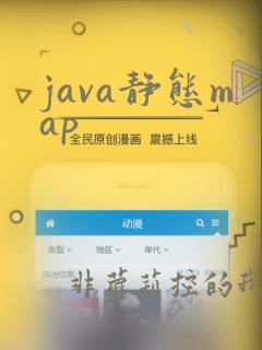 java静态map