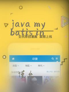 java mybatis in