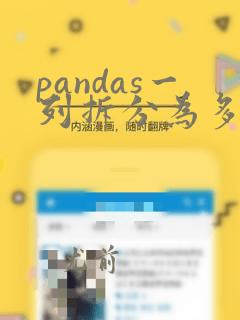pandas一列拆分为多列