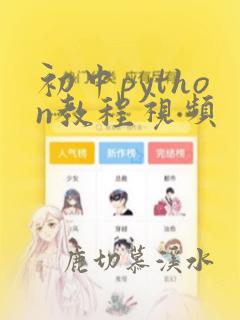 初中python教程视频