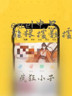 excel中只能根据数据进行排序