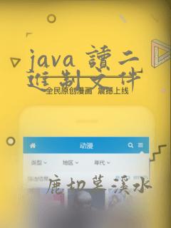 java 读二进制文件