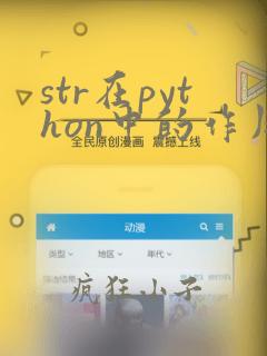 str在python中的作用