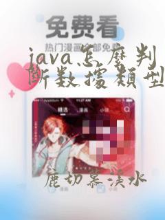 java怎么判断数据类型