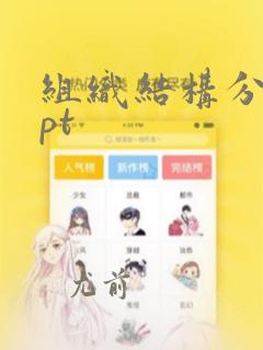 组织结构分析ppt