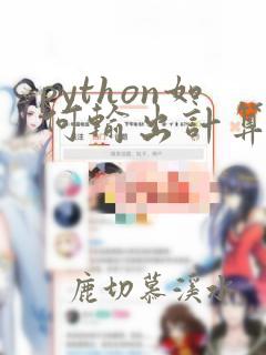 python如何输出计算结果