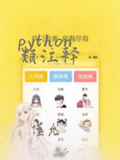 python 类注释