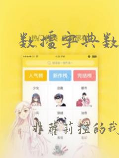 数据字典数据流