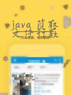 java 获取文件行数