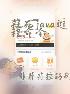 杀死java进程命令