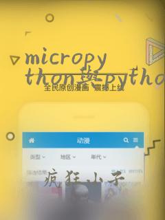 micropython与python区别与联系