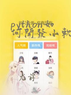 python如何开发小软件