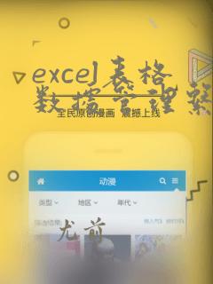 excel表格数据管理系统