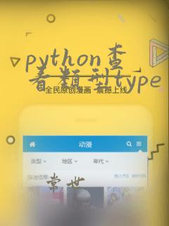 python查看类型type