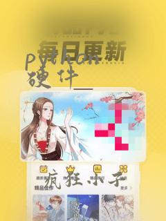 python 硬件