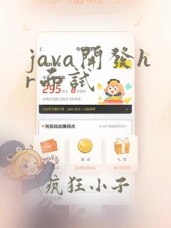 java开发hr面试