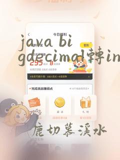 java bigdecimal转int