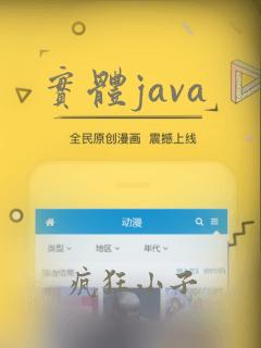 实体java
