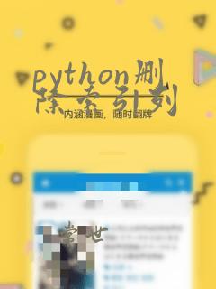 python删除索引列