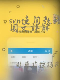 svn使用教程图文详解