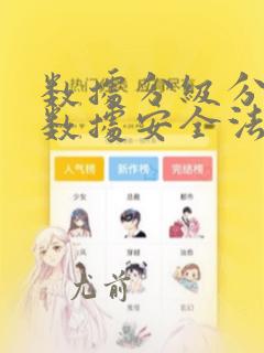 数据分级分类 数据安全法