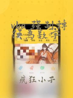 vba 强制转换为数字