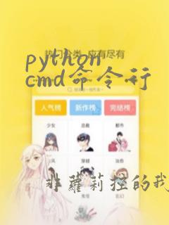 python cmd命令行